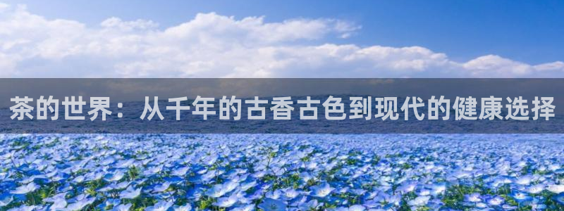 龙八国际官网首页网页版