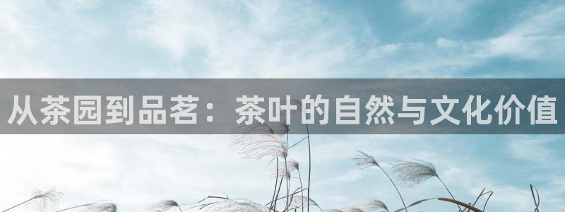 龙八国际娱乐官方网站