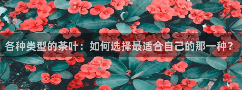 龙八国际发哥下载