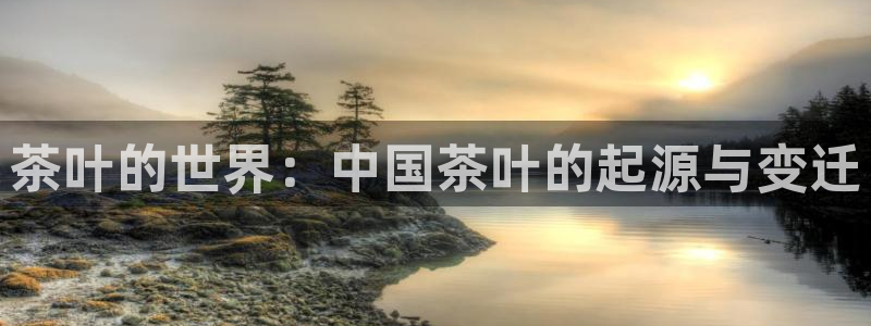 龙八国际官网入口