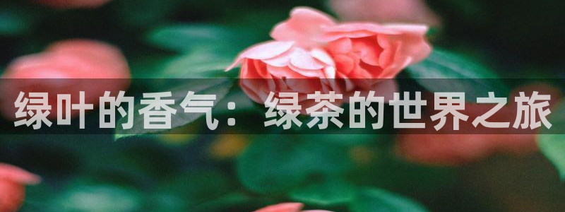 龙八国际平台真人游戏