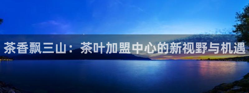 龙八国际有限责任公司