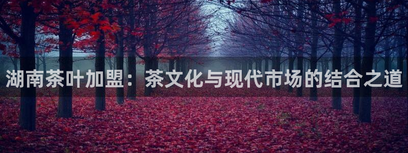 龙八国际手机版下载平台