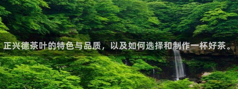 龙八国际下载地址