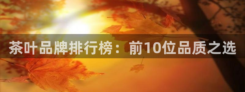 龙八国际网b48点tv