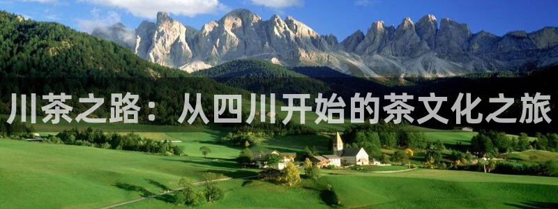 龙八国际贸易有限公司