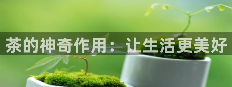 龙八国际app官网