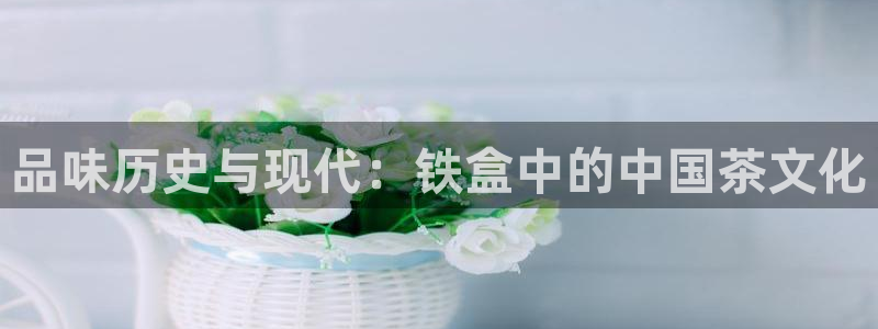 龙八国际是干什么的