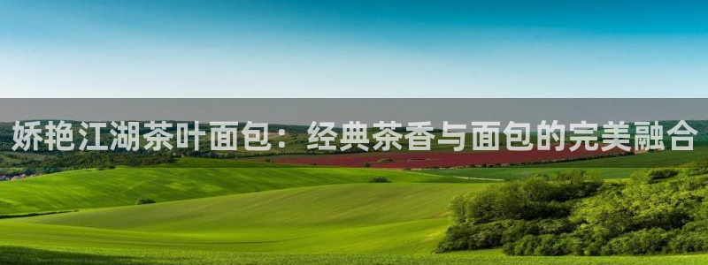 龙八国际pt老虎机官网
