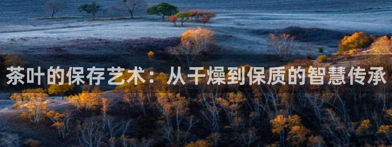 龙八国际网址是多少