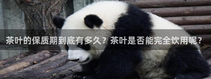 龙八国际官方网