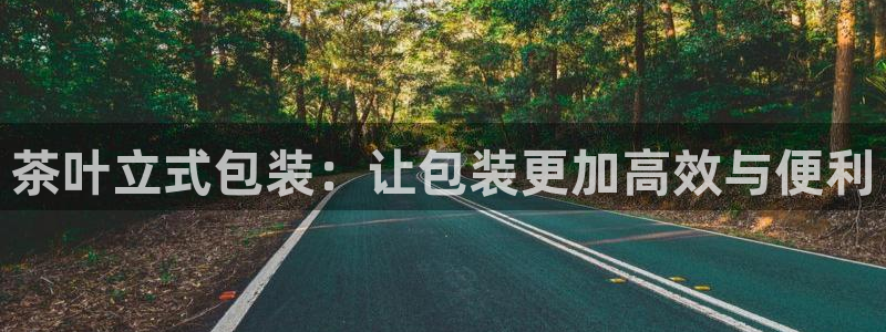 菲律宾龙八国际