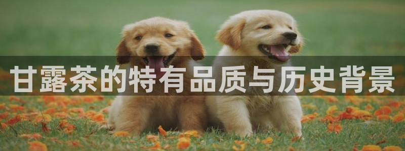 龙八国际优惠券有什么用