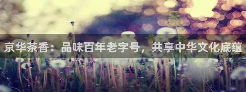 龙八国际安全