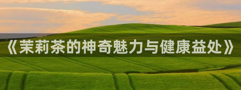 龙八国际选q18点tv