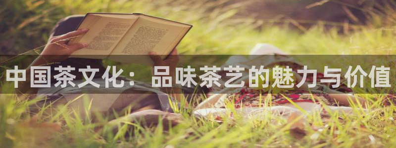 在龙八国际