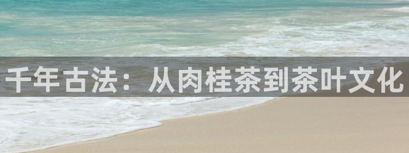 龙八国际 long5658.com
