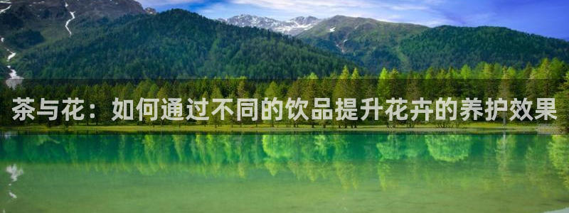 龙八国际网页long