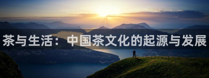 龙八国际登官网