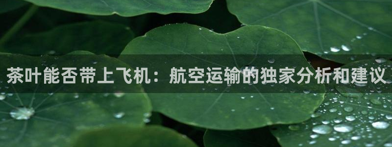 龙八国际下载