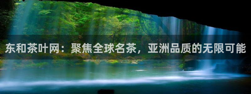 龙八国际公司是真是假