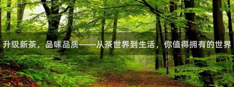 龙八国际娱乐中心