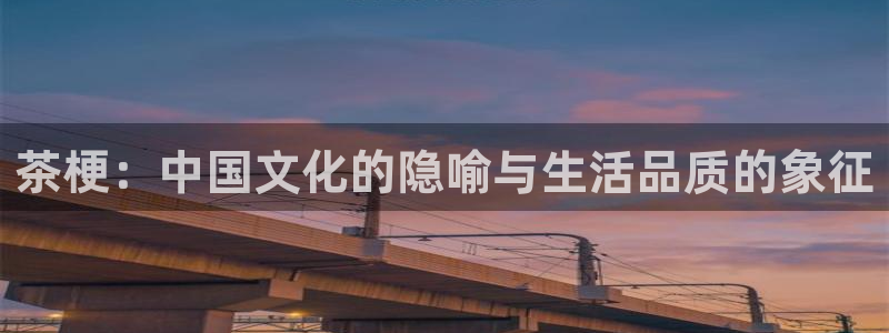龙八国际跑路了吗