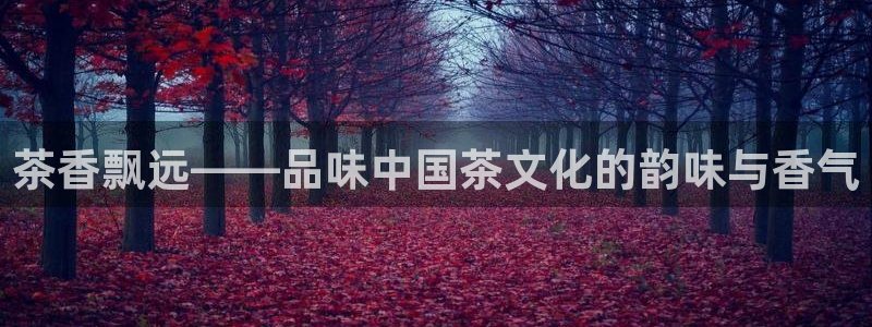 龙八国际官网手机版登录