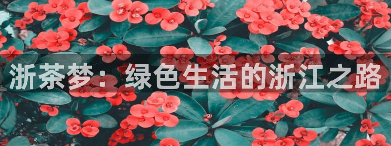 龙八国际官方