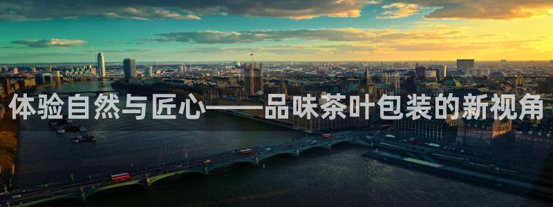 龙八国际娱乐场