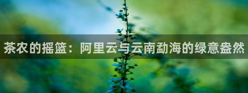 龙八国际发哥下载