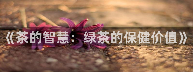 龙八国际娱乐登录