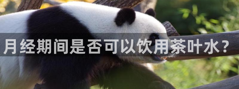 龙八国际客户端登录