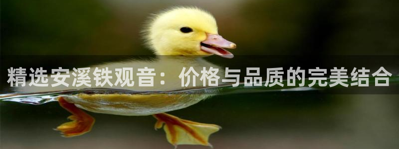 龙八国际怎么注册手机端