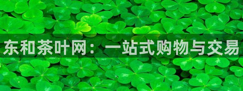 龙八国际登录网站