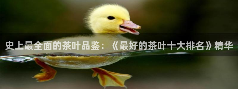 龙八国际娱乐手机登录