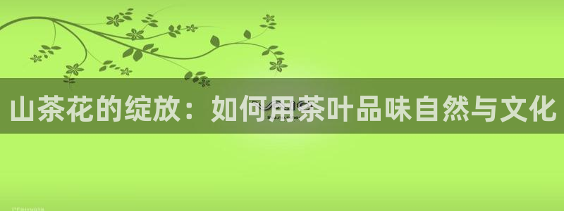龙八国际登入
