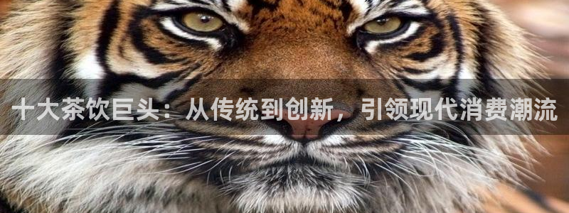 龙八国际手机下载地址