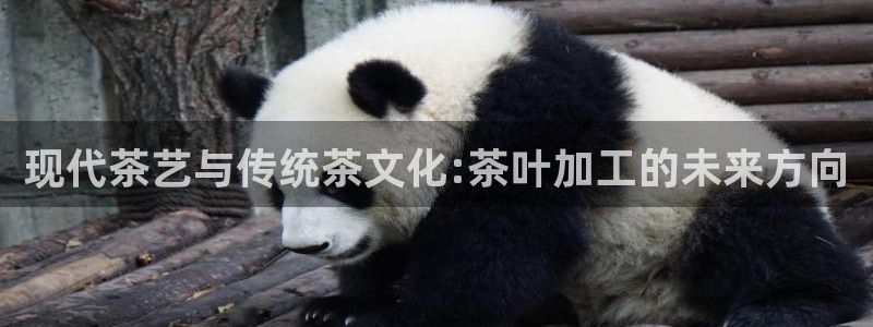 龙八国际服官网下载