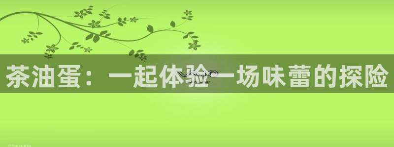 龙八国际手机登录入口