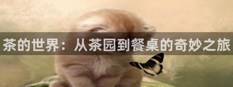 龙八国际头号玩家下截