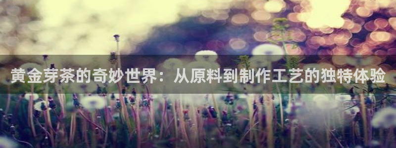 龙八国际网页登陆