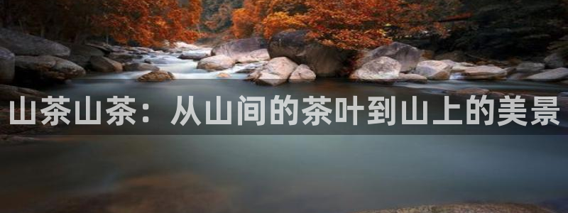 龙八国际是缅甸的吗