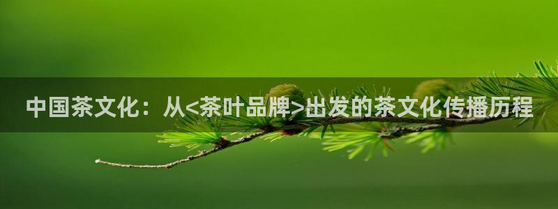 龙八国际app下载苹果