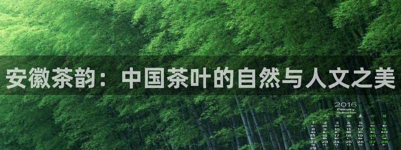 龙八国际娱乐在线游戏