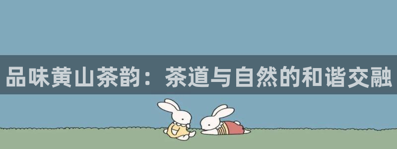 龙八国际相似的平台