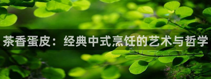 龙八国际公司是真是假