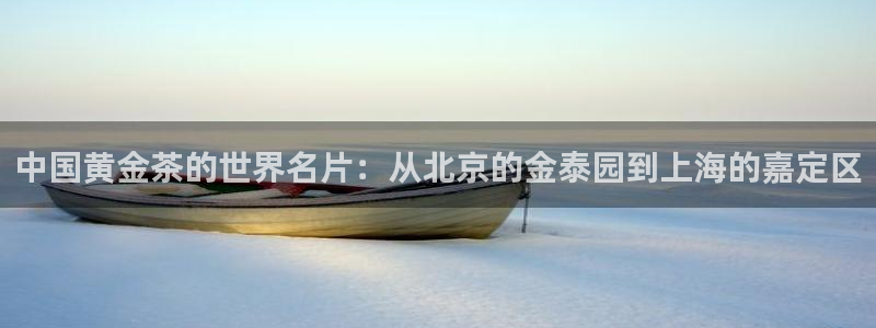 龙八国际娱乐网站多少