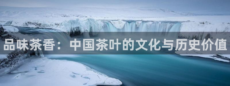 不会玩龙八国际