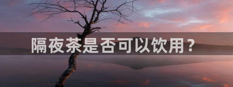 龙八国际官方手游